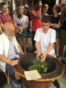 student touching tea leaves 